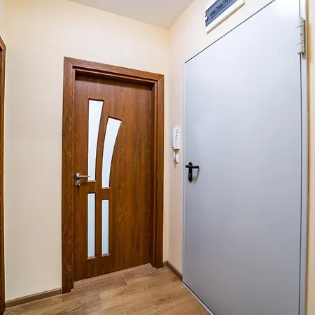 Brand New Downtown Apartment *