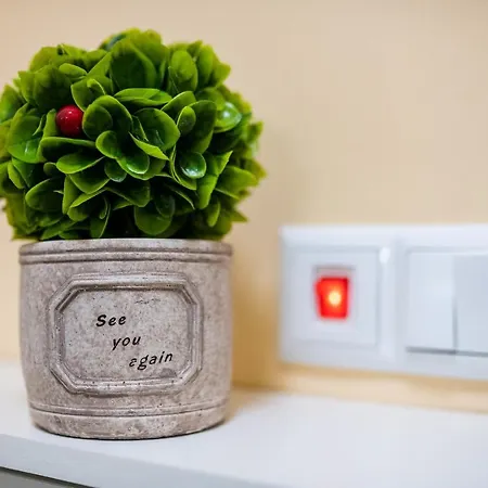 Apartment Brand New Downtown