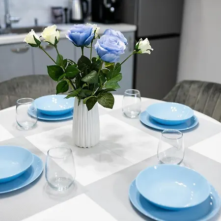 Brand New Downtown Apartment